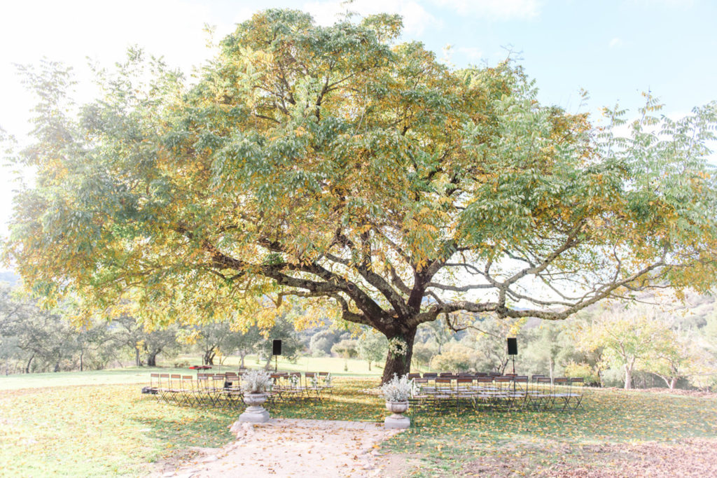 wedding ceremony under tree canopy at Triple S Ranch